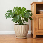 Ceramic Planter, 10 Inch Plant Pot for Large Indoor Plants, Decorative Planters with Drainage Hole and Saucer, Round Flower Pot, Modern Planter, Home Garden Decor, Beige