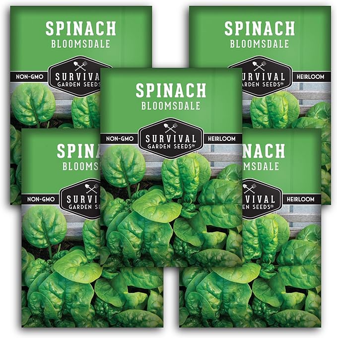 Bloomsdale Spinach Seeds for Planting | Heirloom Non-GMO Variety for Home Vegetable Gardens – Cold Hardy, Fast Growing Greens for Fall, Winter, Spring – Survival Garden Seeds (5 Packs)