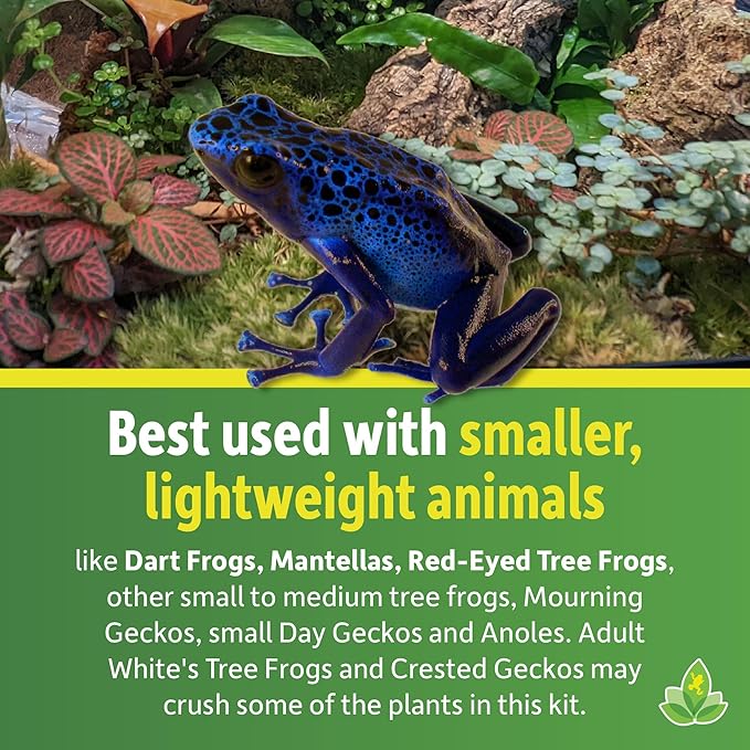 Josh's Frogs 18x18x24 Tropical Vivarium Plant Kit