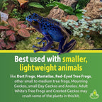 Josh's Frogs 18x18x18 Tropical Vivarium Plant Kit