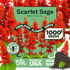 SVI 1000 Red Sage Seeds for Planting Outdoors (Salvia coccinea) – Scarlet sage, Deer Resistant Wildflower – Heirloom Flower Seeds to Plant Outside & Inside Garden, Beds, Containers