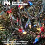 HISHINY Red White Blue 4th of July Patriotic Decorations Lights 100 Count Mini String Lights with Green Wire for Outdoor Indoor Christmas,Holiday,Party, Independence Day Decor,UL Certified (21feet)