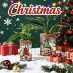 Christmas Vase, Christmas Themed Propagation Stations, Glass Propagation Vases for Plants, Cuttings, Desktop Planter Vase for Home & Office Decor, Set of 6 (3 Large & 3 Small)