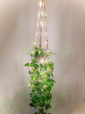 Comtelek 2 Pack Hanging Planter with Lights Indoor Macrame Plant Hanger Basket with Wood Beads Flower Pot Holder No Tassels for Boho Home Window Decor 35 Inch, Ivory (POTS NOT Included)