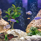 Moonorange Reptile Artificial Plants, Big Terrarium Plants Decorations Supplies, Aquarium Fish Tank Plants, Amphibian Habitat Hideout Tank Accessories(L Set-3pcs/H)