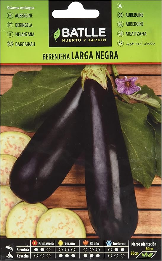 Batlle Vegetable Seeds - Round Aubergine Black Beauty (190 Seeds)