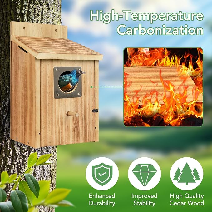2 Pack Bird Houses for Outside - Cedar Bluebird Houses with Metal Predator Guard, Birdhouse for Wren Bluebirds Finches Swallows, Carbonized Wooden (Assembly Required)