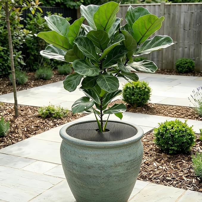 12Pcs Plant Pot Grids, 11.8 Inch Cuttable Plant Pot Soil Covers Protectors with 30 Metal Nails, Protector from Cats, Animals Digging Stopper, Suitable for Indoor and Outdoor Plants