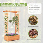 LDAILY Raised Garden Bed with Trellis, Above Ground Garden Bed with Hanging Roof, Side Trellis, & 4 Drainage Holes, Planter Box for Outdoor Climbing Plants Vines Flowers (1, 43.5"L x 17.5"W x 72"H)