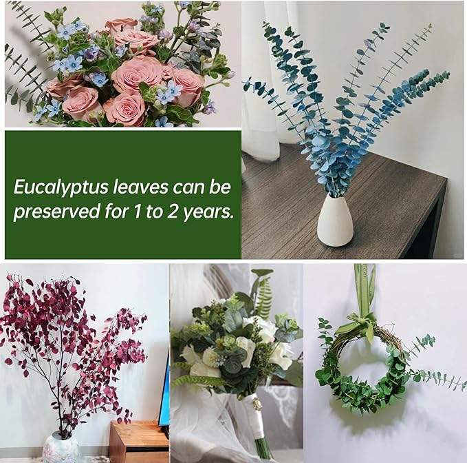 30 Pcs Dried Eucalyptus Stems for Shower, 17'' Natural Real Live Eucalyptus Leaves Branches Hanging Shower Plant for SPA Home Fragrance Bathroom Table Vase Décor