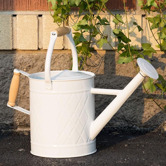 1 Gallon Watering Can with Wooden Handles, White, Galvanized, Metal Watering Can with Removable Spout, Perfect Water Can for Indoor and Outdoor Plants
