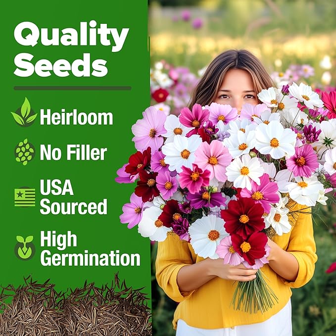 HOME GROWN Cosmos Flower Seeds Bulk Pack for 2026 (1.8 oz) 8,000+ Heirloom Annual Wildflower Seeds Pollinator-Friendly Mix for Pollinators & Outdoor Gardens