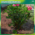 Geelin 15 Pack Peony Cages and Supports 12'' Dx 16'' H Grow Through Metal Plant Supports Frame Rings Hoops for Outdoor Plants Peony Flowers Tomato Rose
