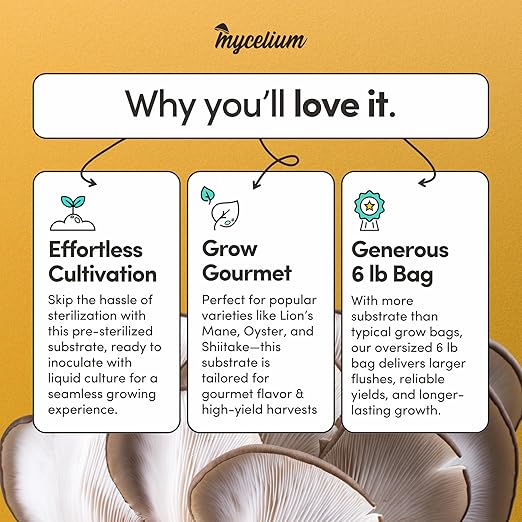 Mycelium All-in-One Mushroom Grow Bag – 6lb Sterilized Substrate with Oak, Soy Hull & Whole Oats Grain | Ready-to-Inoculate Grow Kit with Injection Port | Grow Lion’s Mane, Shiitake & Oyster Mushrooms