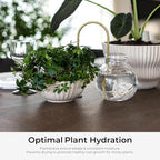 Beautiful Self-Watering Wick System for Effortless Plant Care, Automatic Drip Irrigation, Sustainable & Stylish Scandinavian Design, Ideal for House Plants (S, Beige Sand)