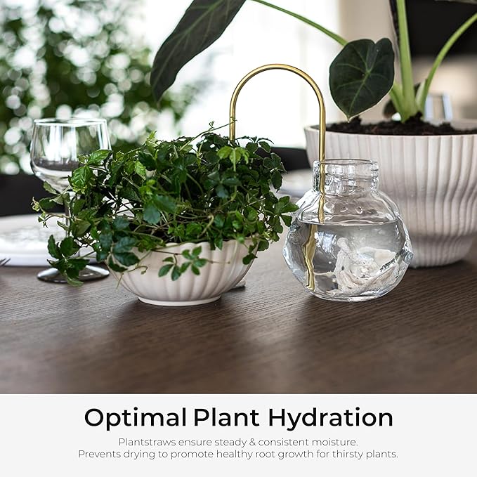 Beautiful Self-Watering Wick System for Effortless Plant Care, Automatic Drip Irrigation, Sustainable & Stylish Scandinavian Design, Ideal for House Plants (S, Black)