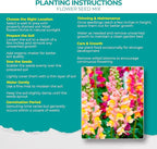 2200+ Mixed Flower Combo Seed Pack for Your Home Garden, 40+ Variety Flower, Including Petunia, Zinnia, Sunflower and More, Attracts Pollinators, Non- GMO and Heirloom