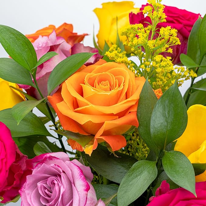 Benchmark Bouquets - One Dozen Long Stem Roses Bouquet Assorted Colors - Fresh Flowers for Delivery - Mothers Day Flowers - Mothers Day Gifts for Mom - Birthday Flowers for Women (Glass Vase Included)
