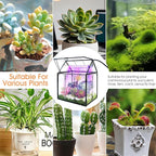 Plant Terrarium Kit with Grow Light, Rifny Small Glass Terrarium Jar with Absorbent Mat and Lid for Venus Fly Trap Succulent Live Air Plants Indoor Home Office Decor (Black, 7.1 x 4.8 x 8.8 inch)