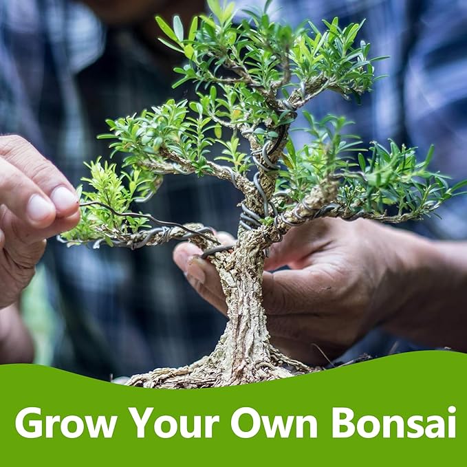 Bonsai Tree Kit, Bonsai Starter Kit with Seeds & Tools, Tree Live Plants Indoor, Gardening Gifts for Women Men Mom Father Plant Lover, Birthday Gifts for Women