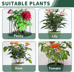 SYITCUN 4pack Peony Cages and Supports, 10 x 16 Inch Four Legs Peony Cage, Heavy-Duty Peonies Support Cages, Peony Ring for Roses, Hydrangeas, Sage, Peonies, Cucumbers, Tomato