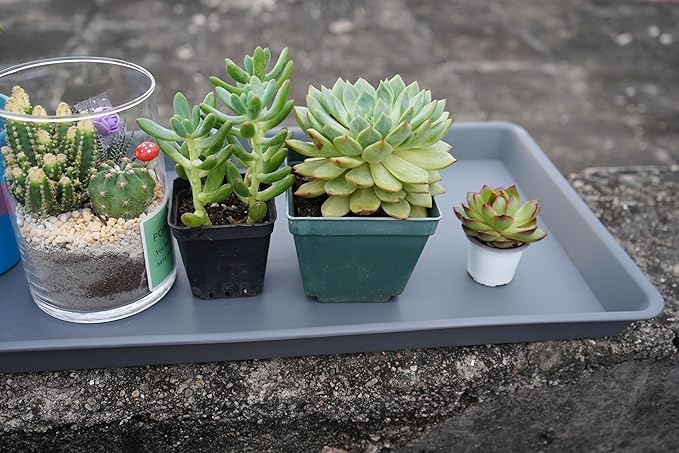 VUWEZ Rectangle Plant Tray, Plant Drip Tray, Plant Pot Saucers, Plant Germination Trays, Plant Saucers, 14.5'' x 11'' x 1.5'' (2 pack), Gray