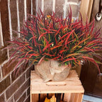 12 Bundles Fake Fall Outdoor Plants Artificial Grass Fall Stems Faux Plastic Fall Shrubs for Home Garden Pathway Window Box Front Porch Cemetery Fall Decor, Autumn Red