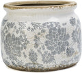 Dosayes Large Ceramic Pot for Planters, Ice Crack Glazed Flower Pot with Drainage Holes,5.91inch Vintage Planters for Indoor and Outdoor (Gray)
