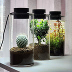 AREPK Desktop Glass Plant Terrarium with Grow Light (H:7.8" D:4"), for Succulent, Moss, Miniature Gardening Landscape, Betta Fish Tank, Office Home Decoration, Plant Lovers Gifts