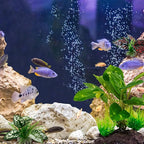 Moonorange Reptile Artificial Plants, Terrarium Plants Decorations Supplies, Aquarium Fish Tank Plant, Amphibian Habitat Hideout Tank Accessories (M Set-2pcs/E)
