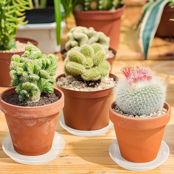 Augshy 18-Piece Flowerpot Tray, Clear Plant Pot Saucers, Reliable Plant Trays for Pots,4/6 Inches Transparent Plant Pot Trays, Water-Repellent Plant Saucers for Gardens, Balconies and Indoors