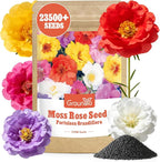 Groundio 23500+ Mixed Moss Rose Seeds, Ground Cover Flower Seeds, Heat & Drought Tolerant Heirloom Flower Seeds for Home Yard Container Gardening(Portulaca Grandiflora)