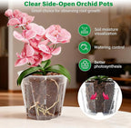 Bluepro 5 Inch Side-Open Orchid Pots 12 Pack, Clear Plastic Nursery Planters with Detachable Side Walls for Easy Repotting, Breathable Slotted Flower Pots with Drainage for Root Health
