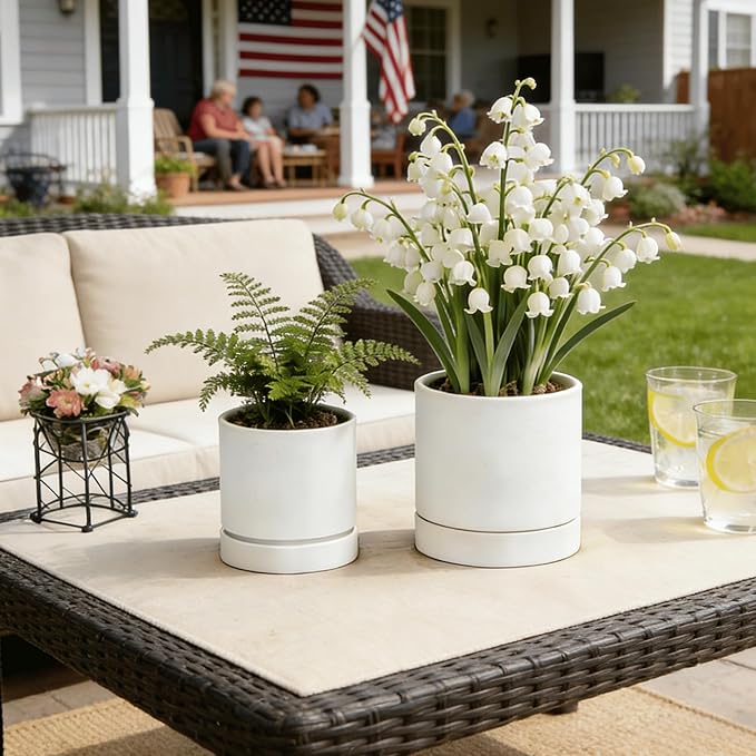 GreenShip 2pcs Plant pots, self Watering pots for Indoor Plants (White, 4.7in+6in)
