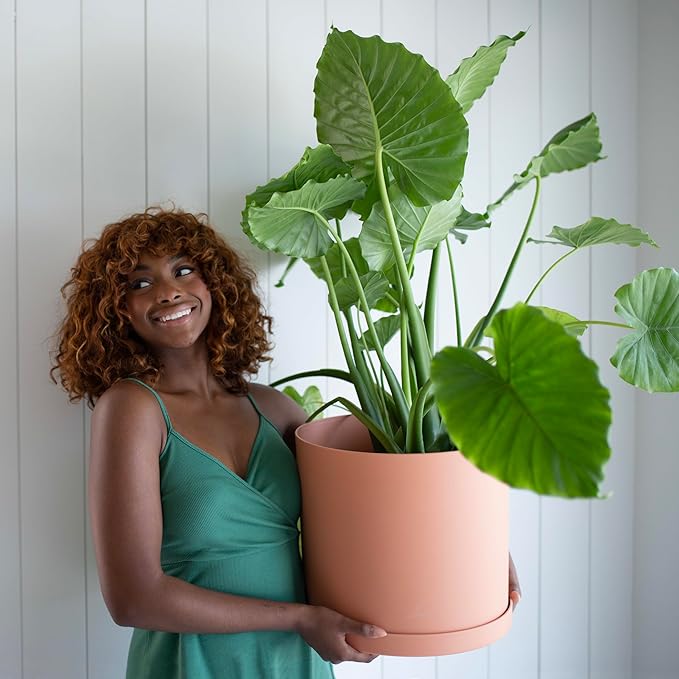 Bloem Mathers Round Planter with Saucer Tray: 12" - Terra Cotta - Modern Design, Durable Plastic Pot, Removable Saucer, for Indoor & Outdoor Use, Gardening, 5.8 Gallon Capacity
