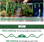 SPECILITE 3/8" Lightweight Coil Garden Hose 75FT, EVA Flexible Curly Water Pipes with 6-Pattern Spray Nozzle for Boat, Greenhouse, Yard, Patio, Green