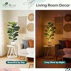 Der Rose 2 Pack 30" Artificial Fiddle Leaf Fig Tree, Mid-Size Realistic Plants Indoor & Outdoor Fake Plants for Apartment Home Living Room Office Decor