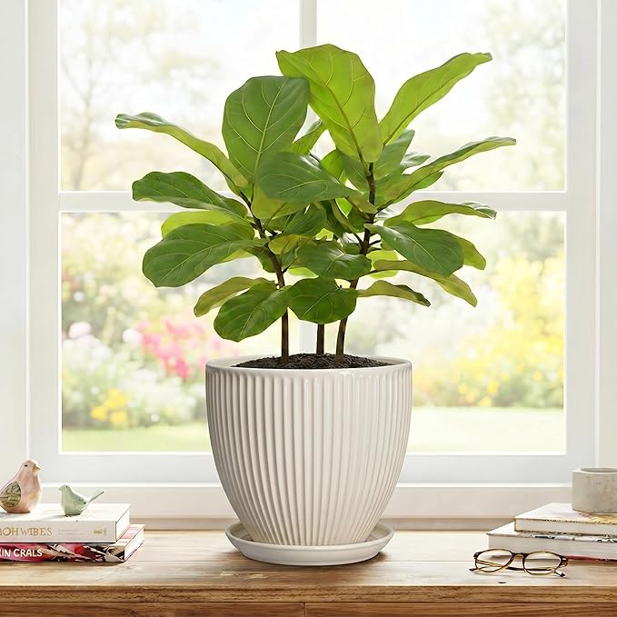 Ceramic Flower Pots, 8 Inch Plant Pot with Drainage Hole and Saucer, Modern Planters for Indoor Plants, Round Indoor Pots for Plants, Office Home Decor, Plant Lover Gifts, Cream White
