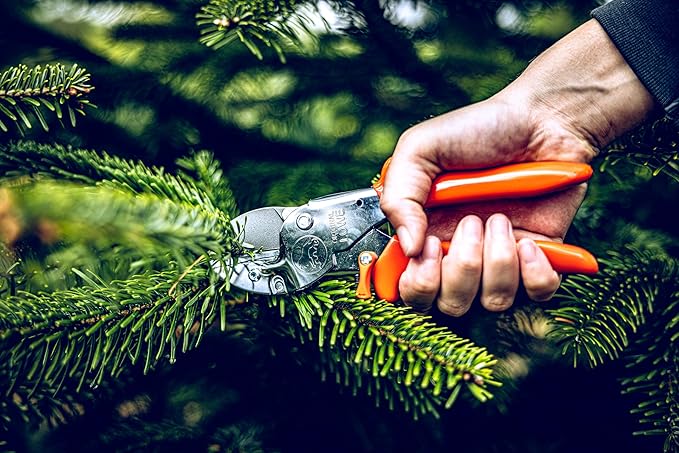Loewe 2104 Anvil Pruner for Large Hands (German Import)