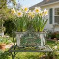 Vintage 2-Piece Metal Planter Set, Distressed Green Iron Wire Basket with Flowers Garden Sign, Rustic Farmhouse Plant Pots for Tabletop, Window Sill & Balcony Decor (Green)