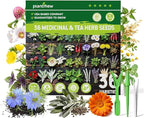 Medicinal Herb Seeds Variety Pack - 36 Heirloom Non-GMO Herbal Tea Garden Seeds: Chamomile, Lavender, Echinacea, Yarrow, Mugwort for Planting Indoor & Outdoor, Apothecary & Homesteading Supplies