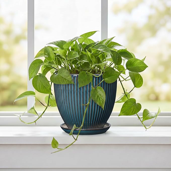 6 Inch Plant Pot, Ceramic Flower Pots for Indoor Plants, Round Planters with Drainage Hole and Saucer, Decorative Small Modern Flower Pots, Home Room Decor, House Warming Gifts, Retro Blue