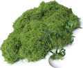 Forlaoers 5.3oz Light Green Artificial Floral Moss Fake Moss Faux Plant for DIY Crafts Fairy Garden Pot Filler Vase Greenery Decorating Project Indoor Model Making Walls Glass Decor