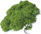 Forlaoers 5.3oz Light Green Artificial Floral Moss Fake Moss Faux Plant for DIY Crafts Fairy Garden Pot Filler Vase Greenery Decorating Project Indoor Model Making Walls Glass Decor