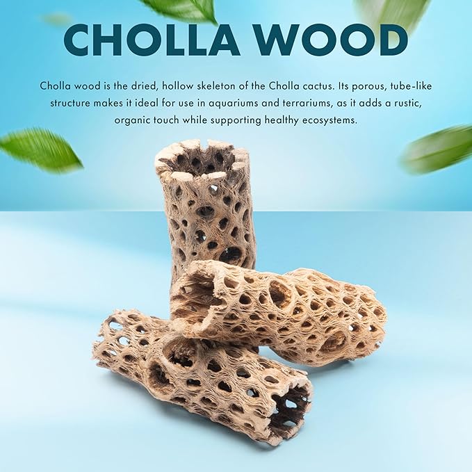 SubstrateSource Natural Cholla Wood - Driftwood for Aquariums, Air Plant Base, Hermit Crab and Freshwater Shrimp Hideout, Fish Tank Decoration, Chinchilla Chews, Reptile Habitat Wood - 6 Inch, 1pc