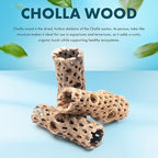 SubstrateSource Natural Cholla Wood - Driftwood for Aquariums, Air Plant Base, Hermit Crab and Freshwater Shrimp Hideout, Fish Tank Decoration, Chinchilla Chews, Reptile Habitat Wood - 6 Inch, 3pc