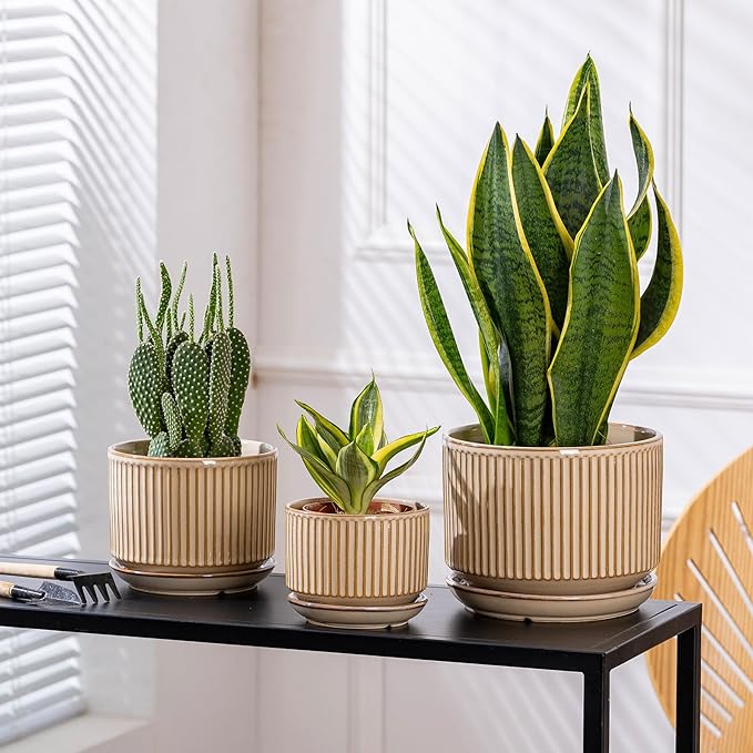 Beige Ceramic Planter Set of 3, 4.3+5.5+6.7 Inch Indoor Plant Pots with Drainage Hole, Saucer & Mesh Pads, Ceramic Striped Decorative Plant Pots for Garden Pots, Outdoor and Indoors Planters