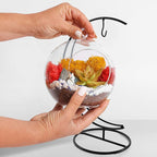 Creations by Nathalie - 5" Glass Globe Succulent Terrarium Kit, Hanging DIY Starter Kit for Kids and Adult, Metal Stand, Reindeer Moss, Crystal & Rocks, Tools, Figurine (Live Plant Included)