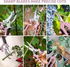 3 Pack Garden Pruning Shears, Stainless Steel Shears, Gardening Shears Scissors Pruning Shears for Gardening Tools (3PCS Pink and Black)