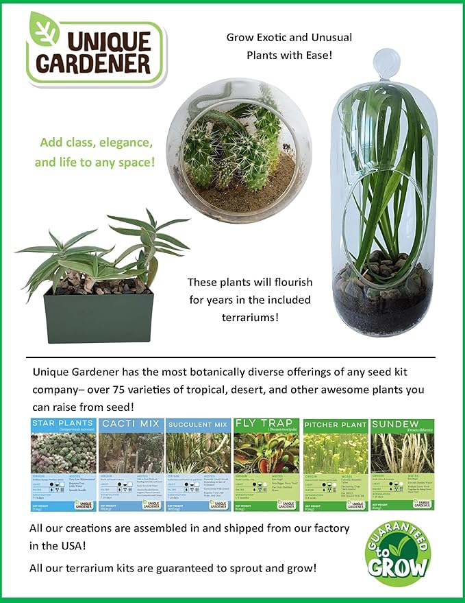 Grow Your Own Aloe Plant - Nurture Your Own Altruistic Aloe Plant Terrarium Starter Kit with Complete Supplies for Easy-to-Grow Indoor Succulents - Just Add Water
